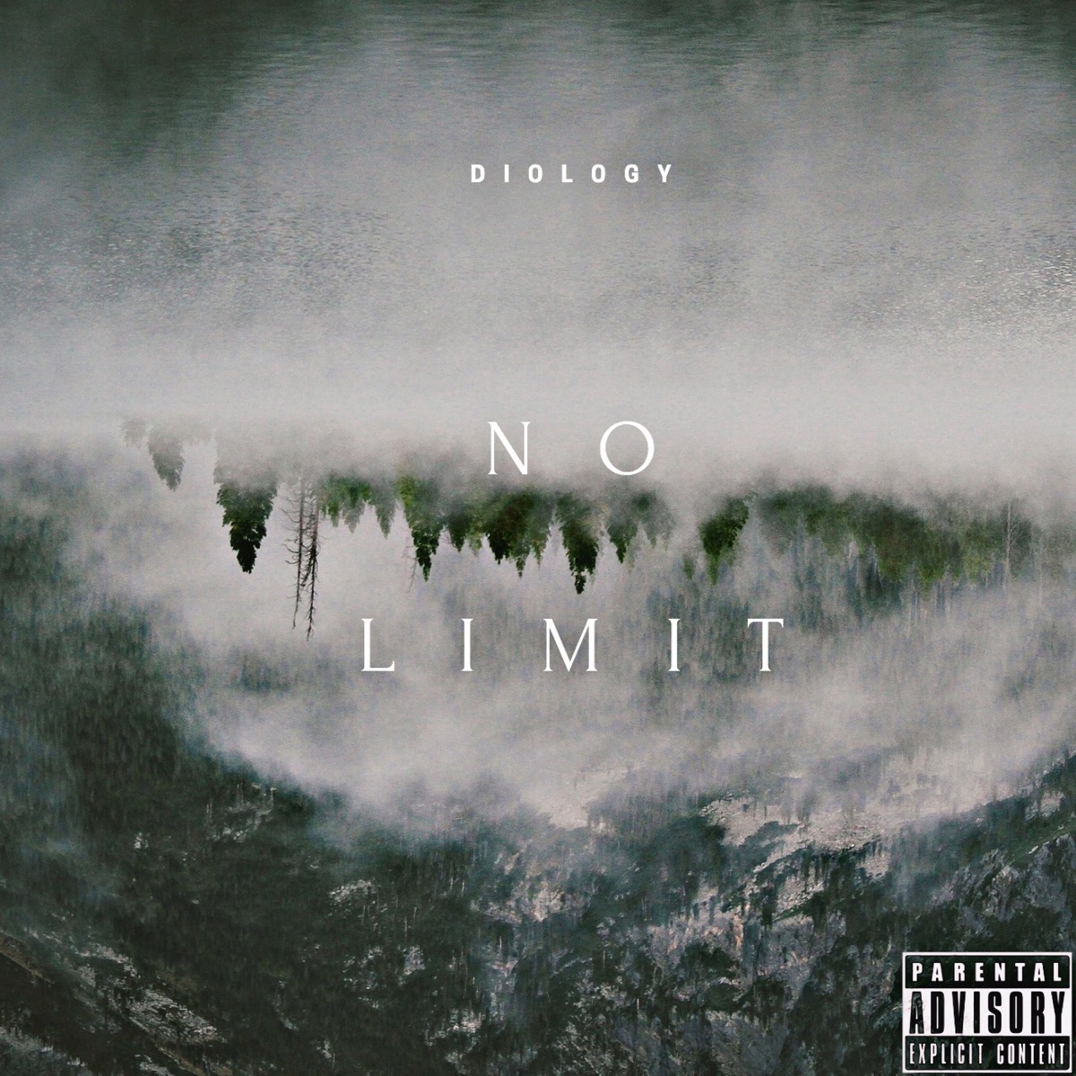 No Limit - Single by Diology album cover