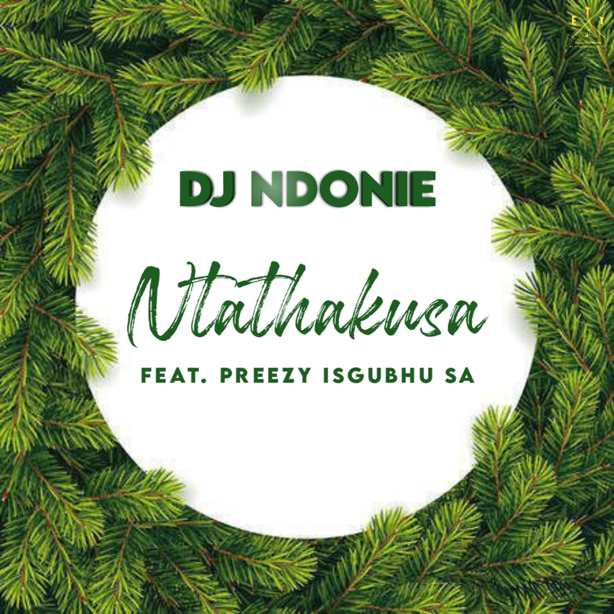 Isgubhu Sa Ntathakusa (feat. Preezy SA) - Single by Dj Ndonie album cover