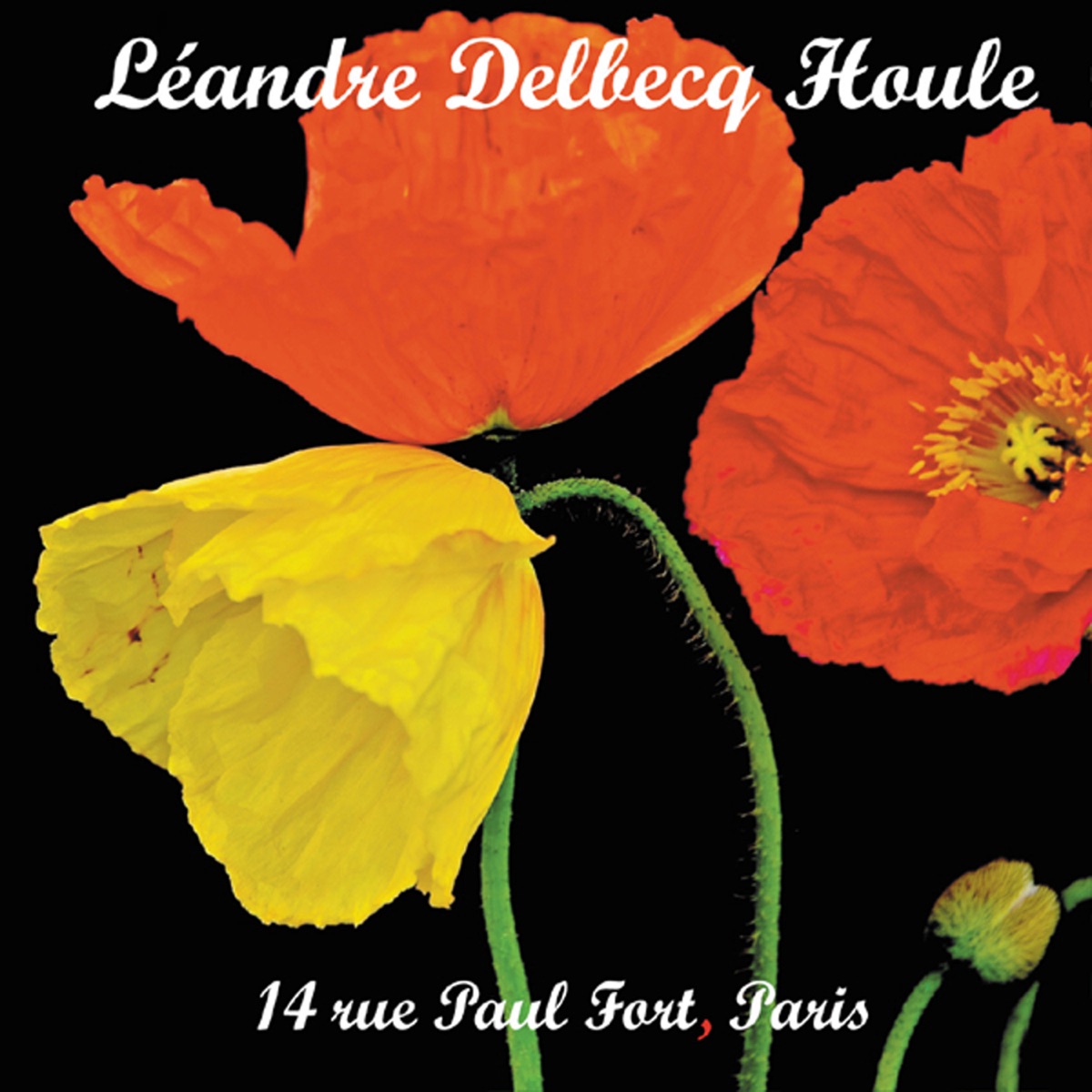 14 Rue Paul Fort, Paris by Joëlle Léandre, Benoît Delbecq & François Houle album cover