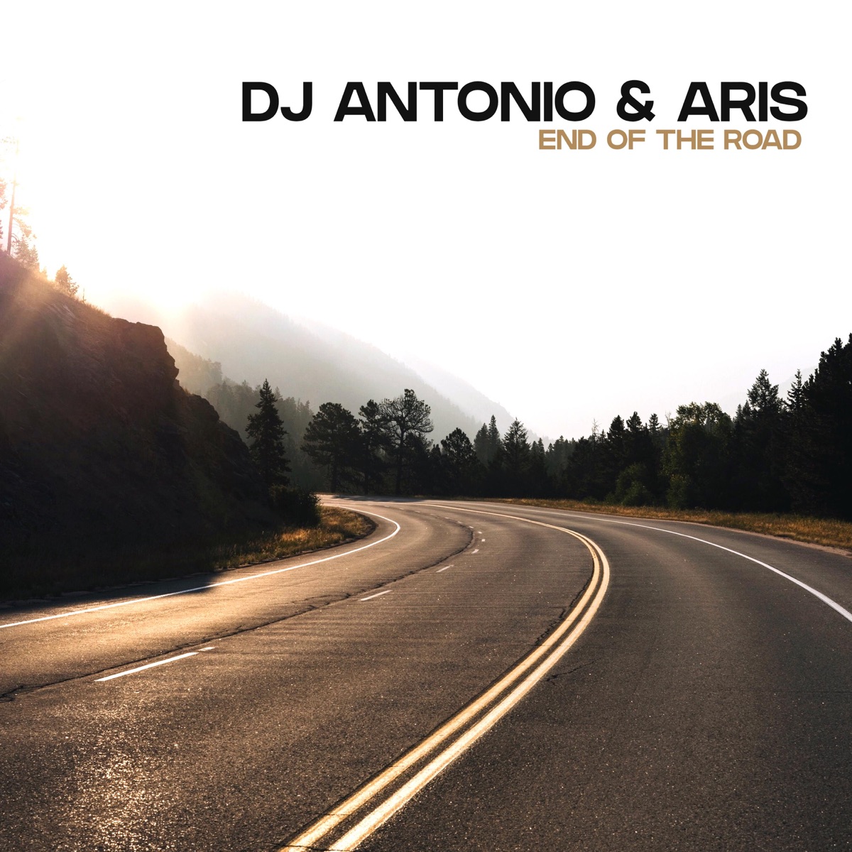 End of the Road - Single by Dj Antonio & Aris album cover