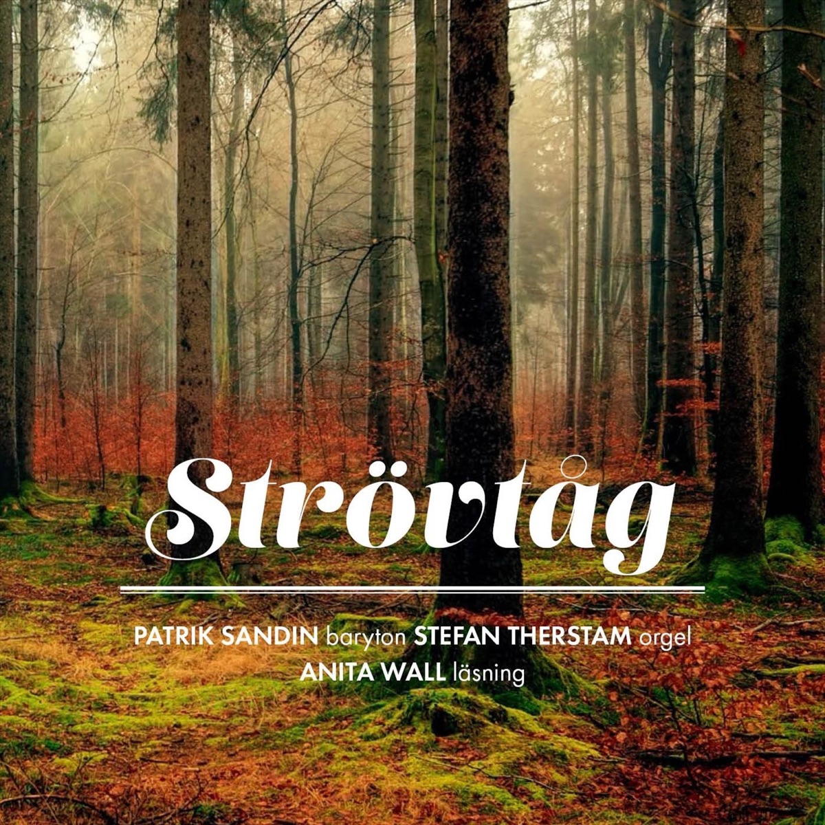 Strövtåg by Patrik Sandin & Stefan Therstam album cover