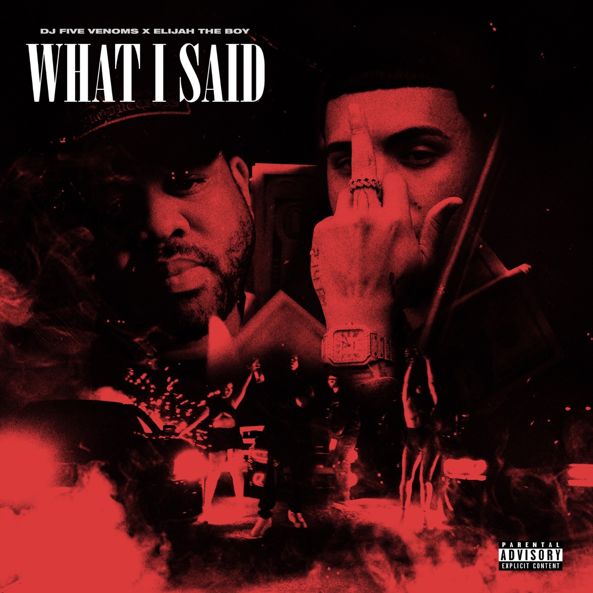 What I Said - Single by DJ Five Venoms & Elijah the Boy album cover