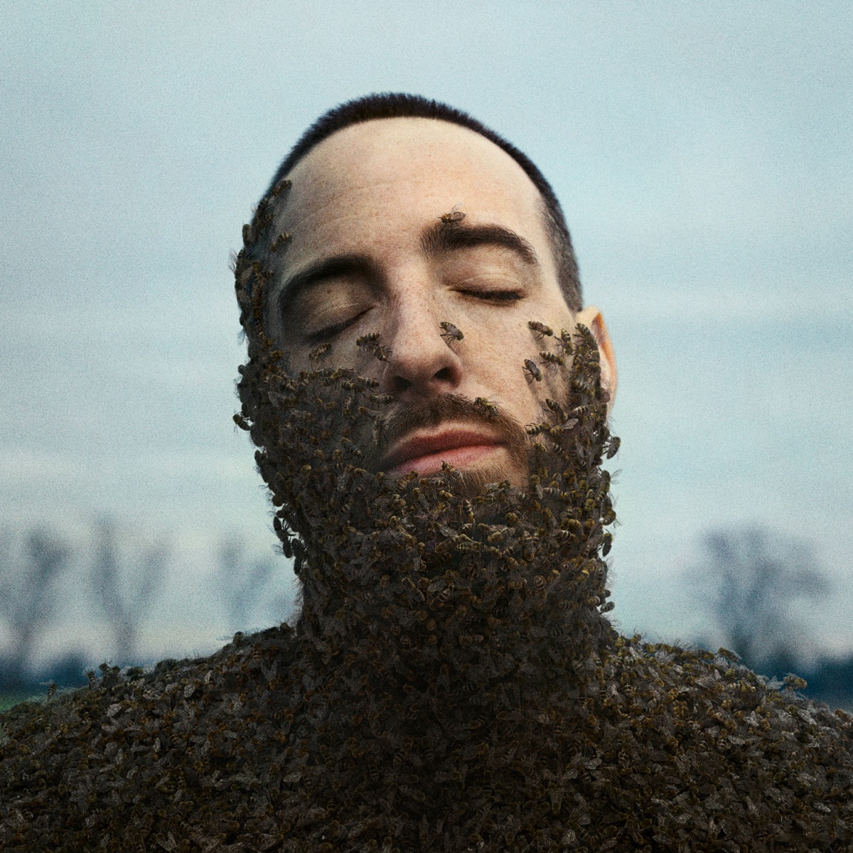 ALLES WAR SCHÖN UND NICHTS TAT WEH by Casper album cover