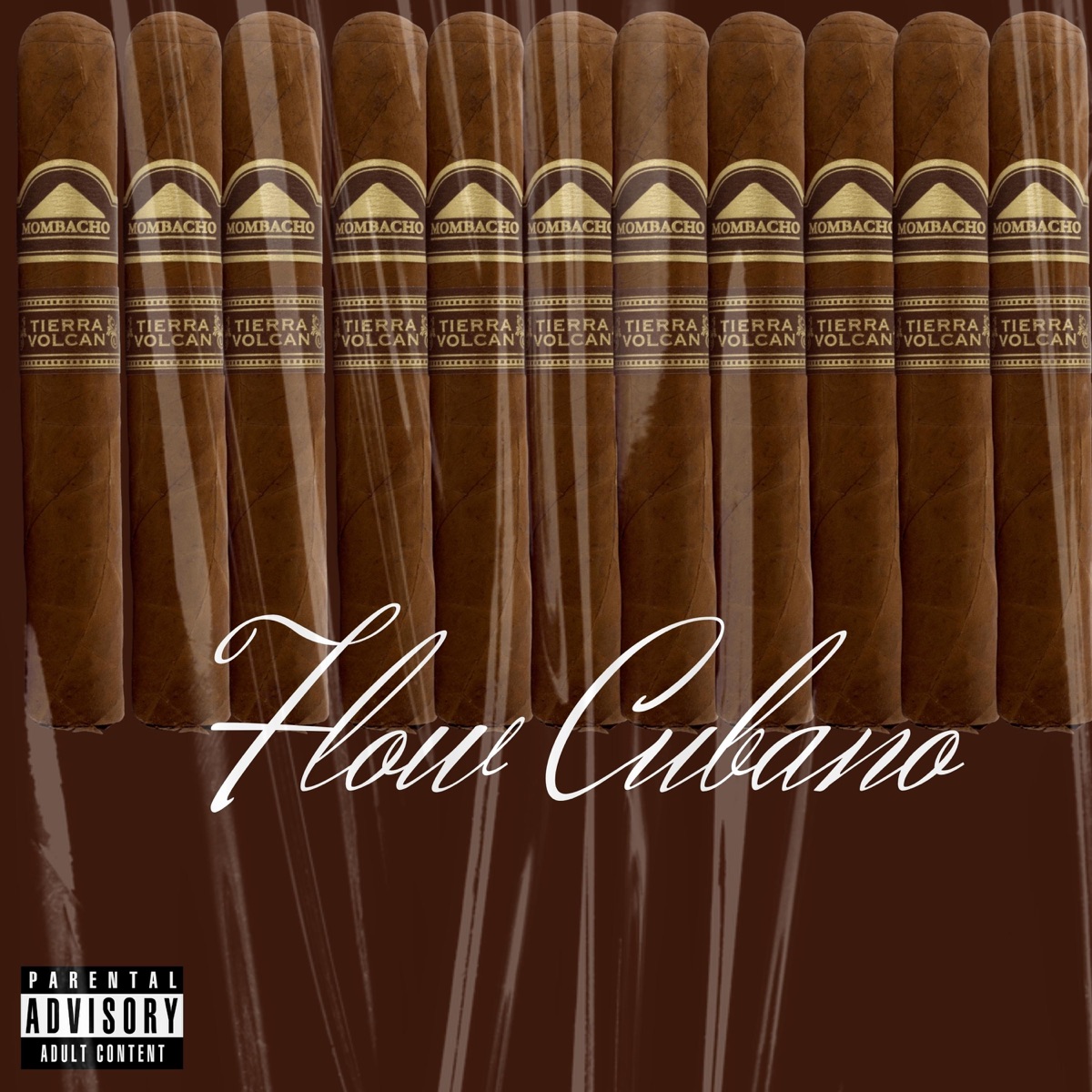 Flow Cubano - Single by S.Garrucho album cover