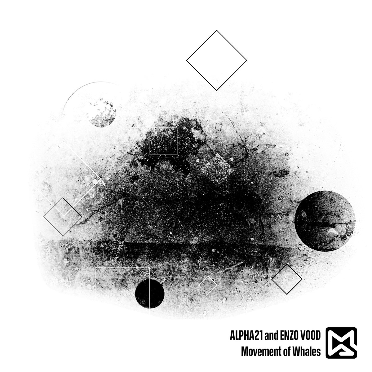Movement of Whales - Single by ALPHA21 & Enzo Vood album cover