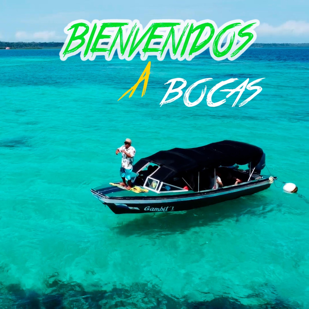 Liwy (Bienvenidos a bocas) - Single by corp.Themob album cover