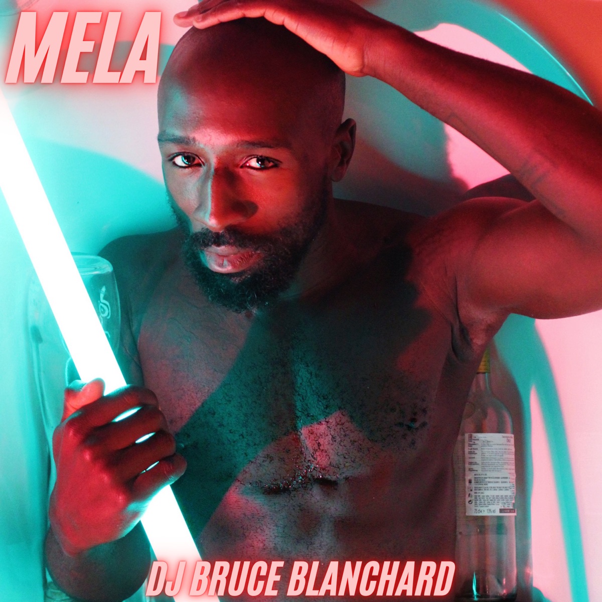 Mela - Single by DJ Bruce Blanchard album cover
