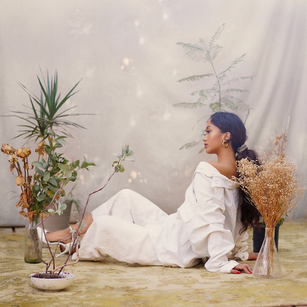 Butterfly Paradise by Jessica Domingo album cover