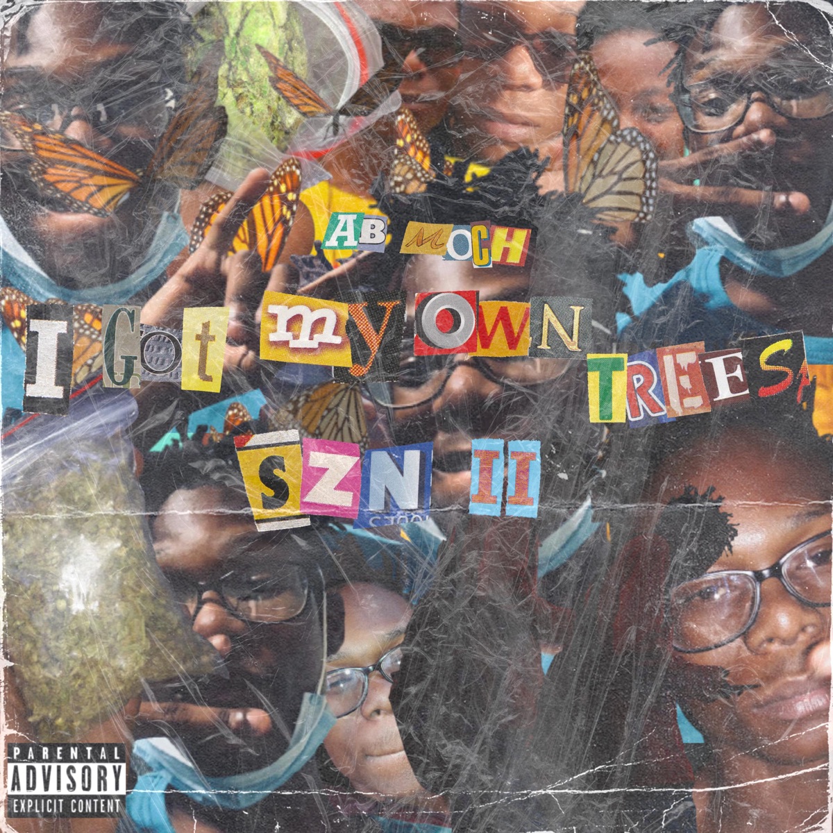 iGOTMYOWNTREES II by AB Moch album cover