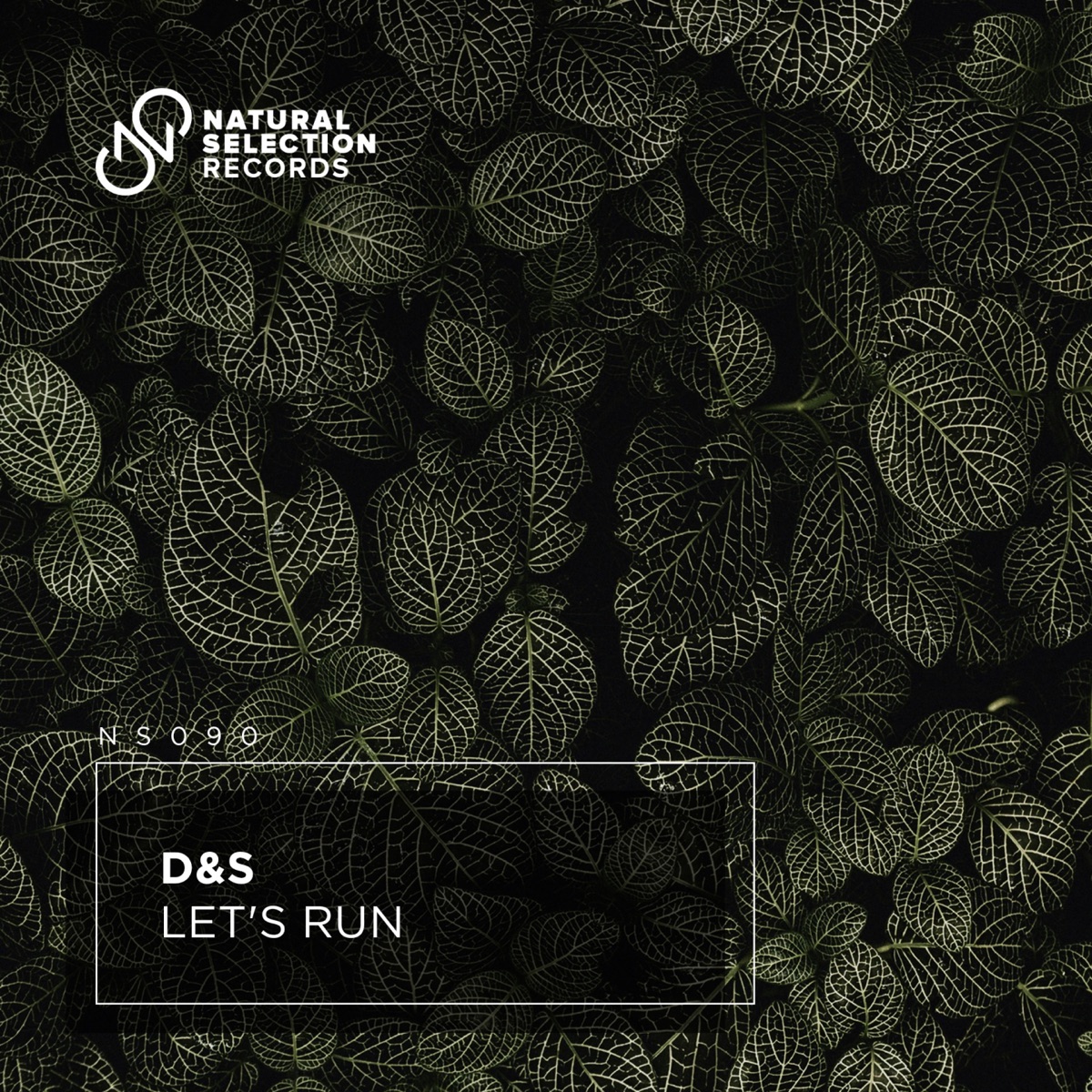 Let's Run - Single by D&S album cover