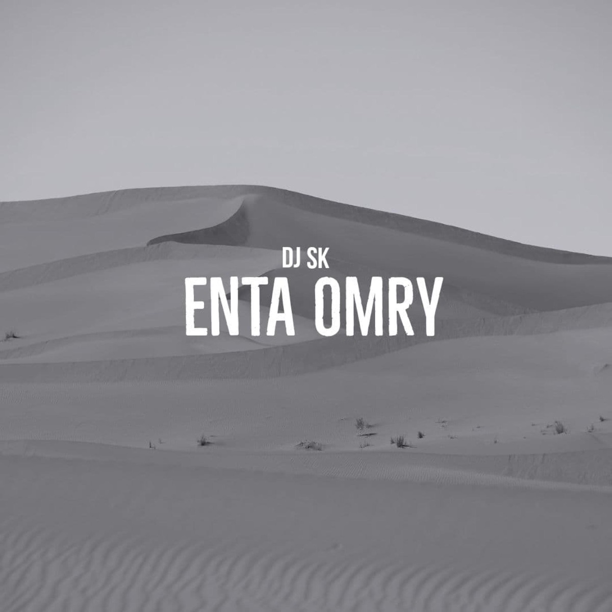 Enta Omry - Single by DJ SK album cover