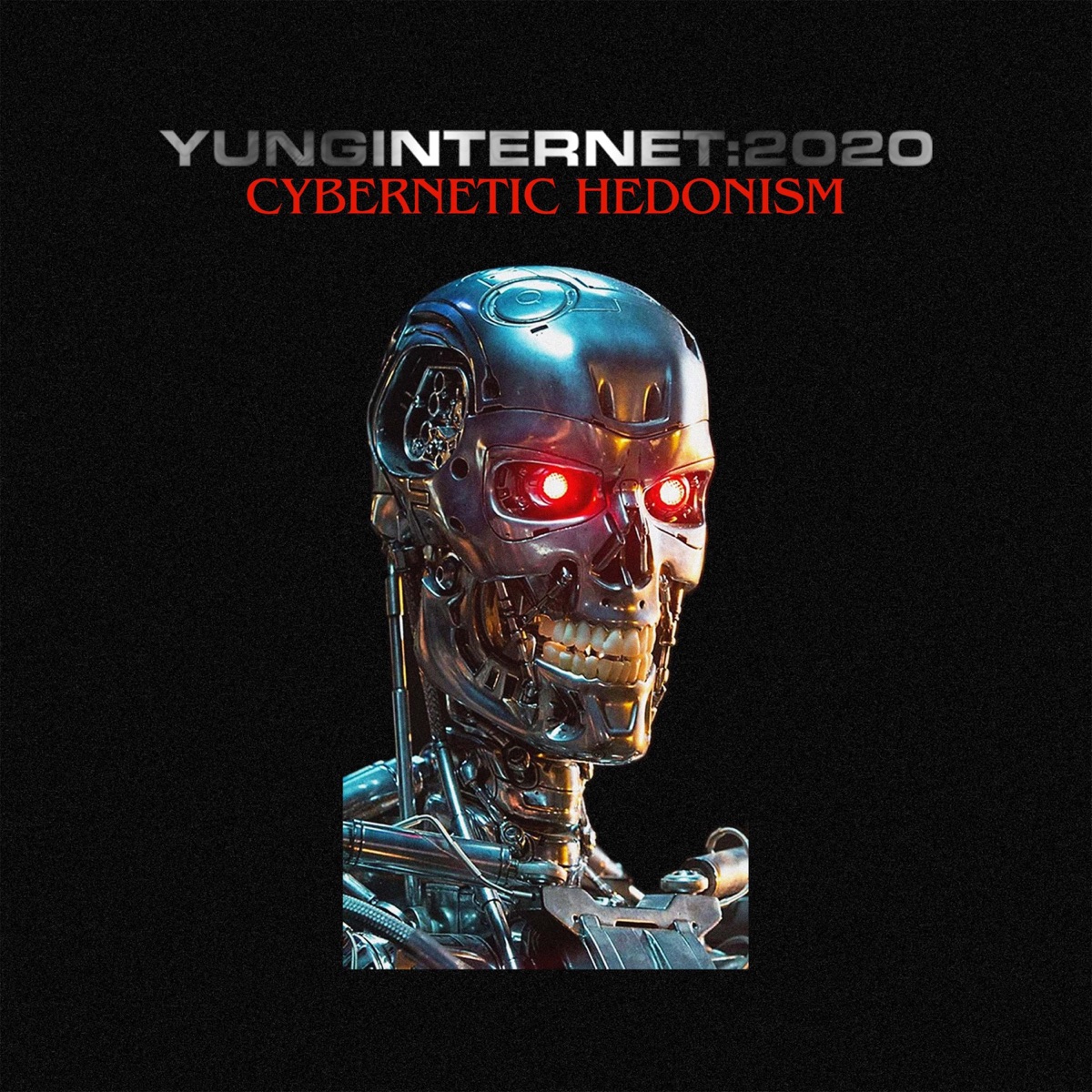 Cybernetic Hedonism by Yung Internet album cover