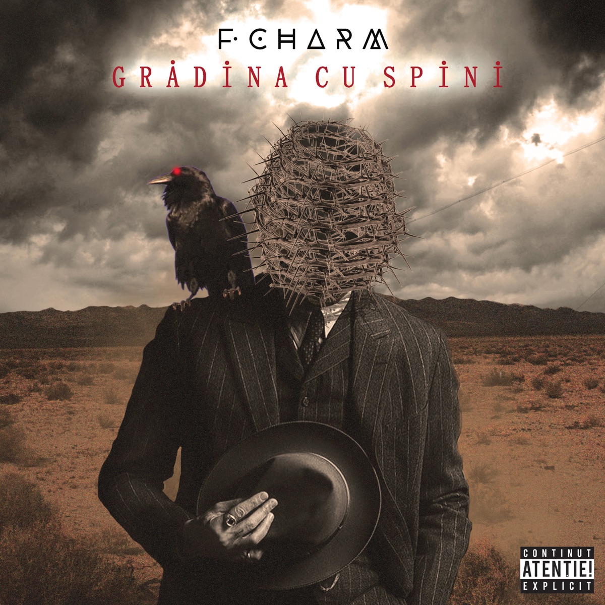 Gradina cu spini by F.Charm album cover