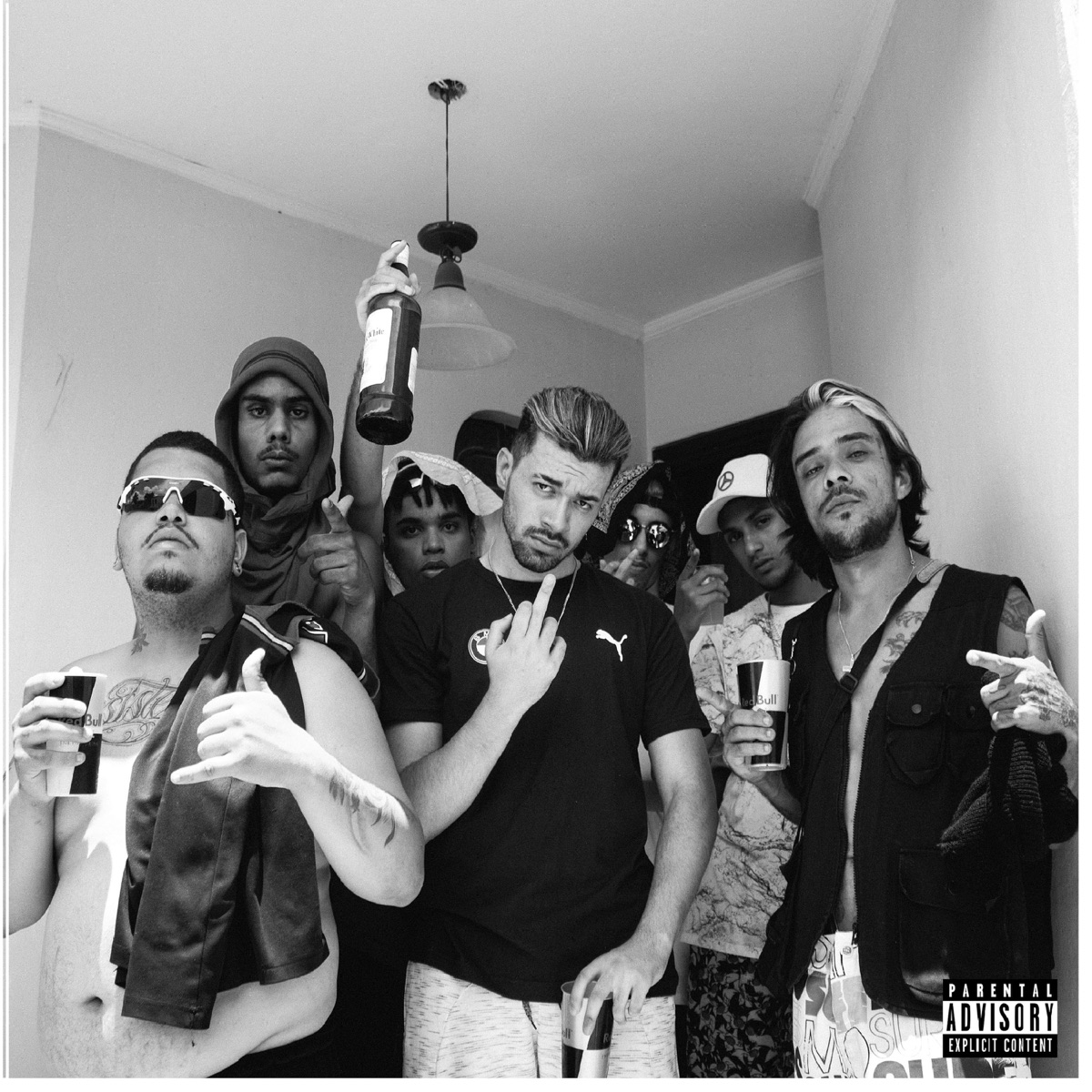 Surgindo das Cinzas - Single by Visionário, Nicqi & Segundo Plano album cover