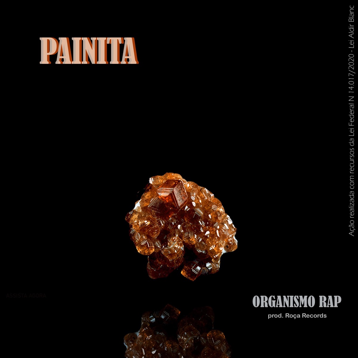 Painita - EP by Organismo Rap, Xavbeatz & Tiagobits album cover