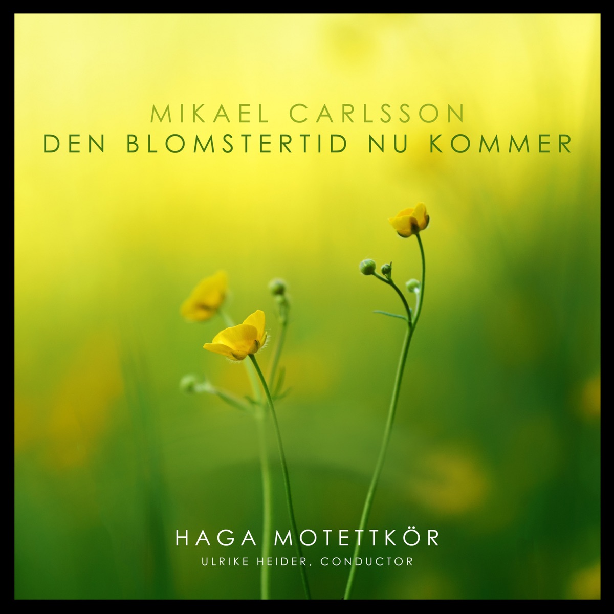 Den blomstertid nu kommer - Single by Mikael Carlsson, Haga Motettkör & Ulrike Heider album cover