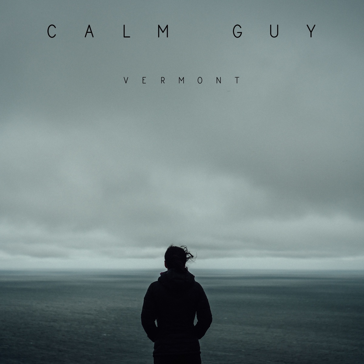 Calm Guy - EP by VERMONT, pintiaux sebastien, Anis Bahmed & Neeskens album cover