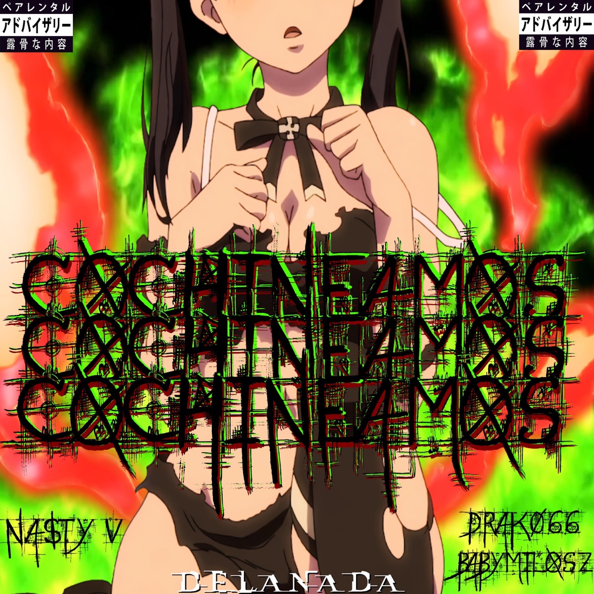 Cochineamos (feat. Baby Milosz & Drako66) - Single by Na$ty V album cover