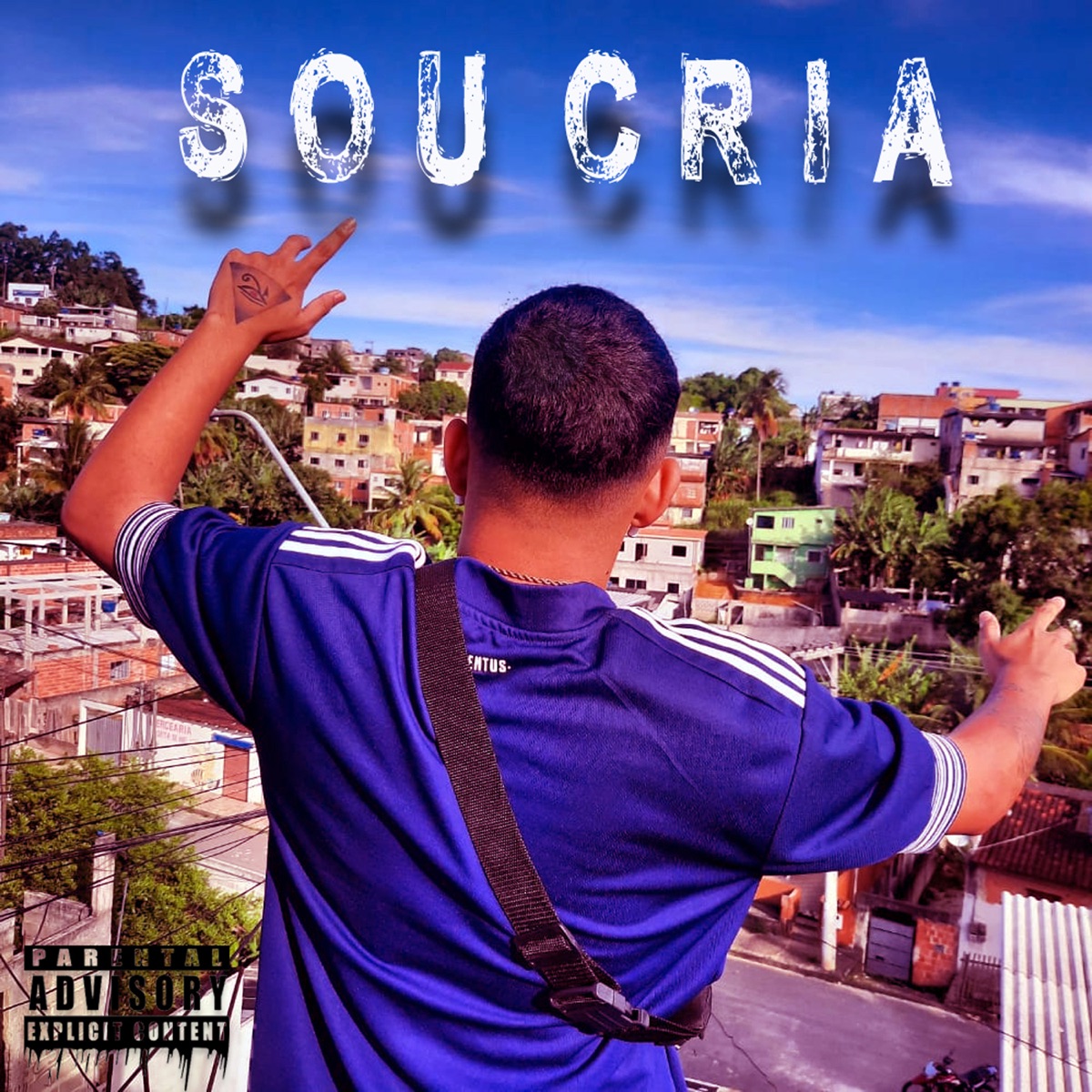 Sou Cria - Single by Vinicius Mix album cover