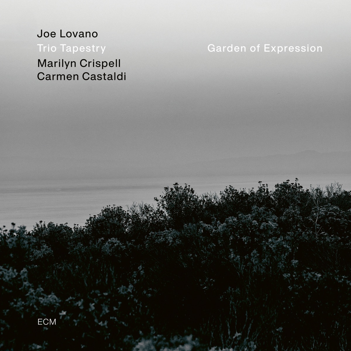 Garden of Expression by Joe Lovano, Marilyn Crispell & Carmen Castaldi album cover