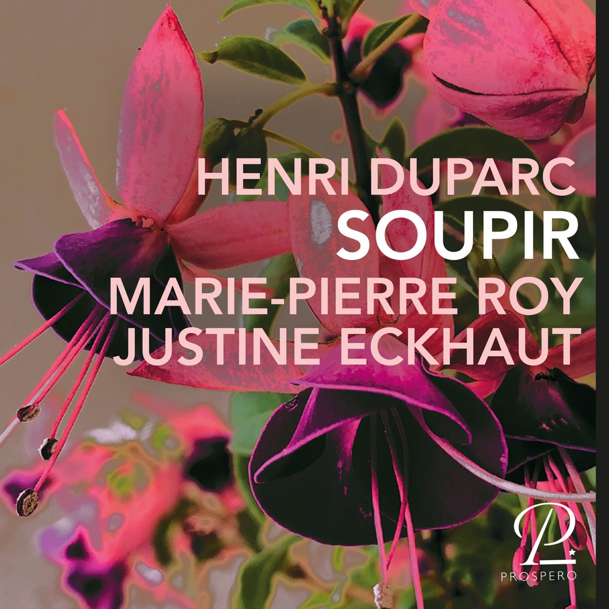 Soupir - Single by Marie-Pierre Roy & Justine Eckhaut album cover