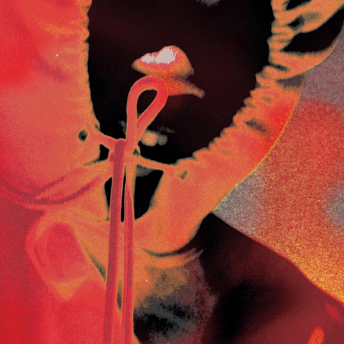 Beautiful Havoc by $NOT album cover