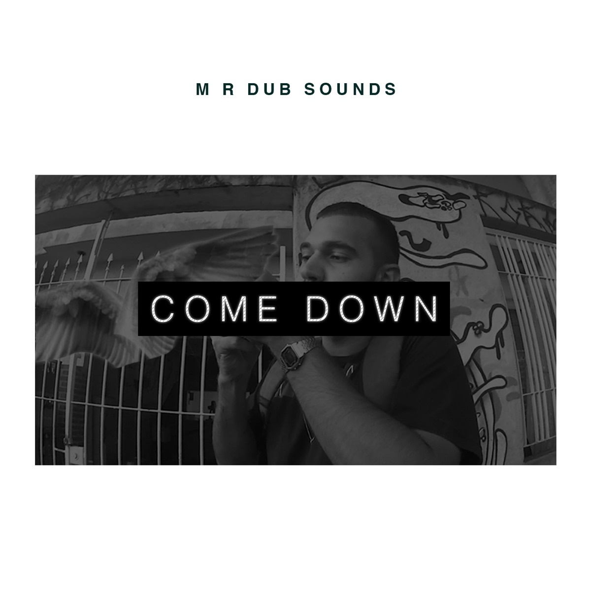 Come Down - Single by MR Dub Sounds album cover