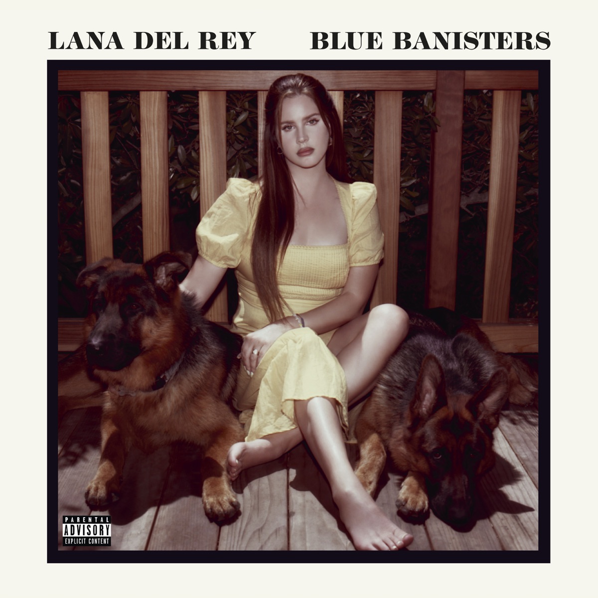 Blue Banisters by Lana Del Rey album cover