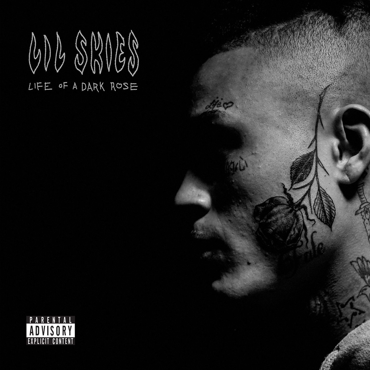Life of a Dark Rose by Lil Skies album cover