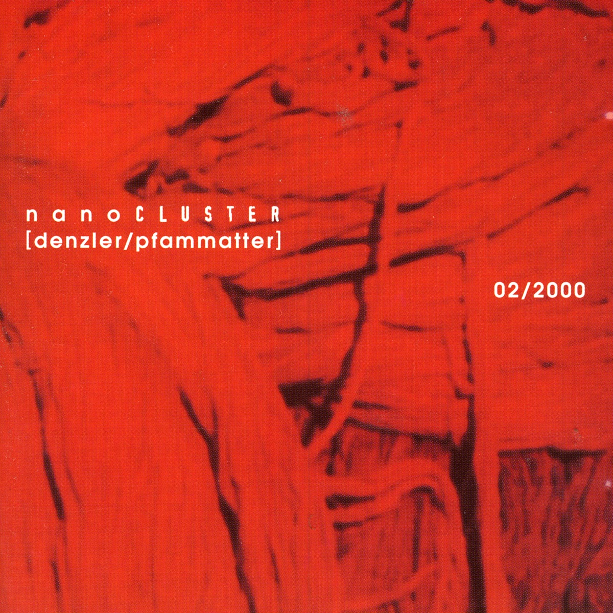 NanoCLUSTER 02/2000 by Bertrand Denzler / Norbert Pfammatter album cover
