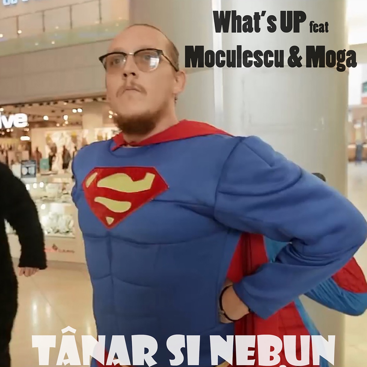 Tanar si nebun (Traiaste-ti viata) [feat. Moculescu & Moga] - Single by What's Up album cover