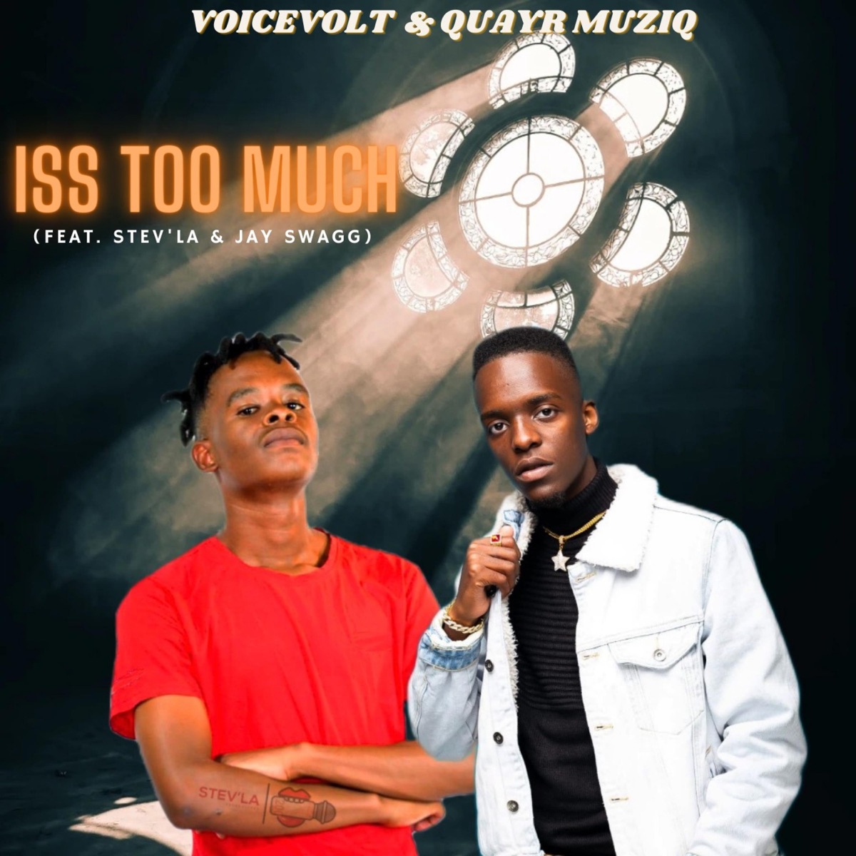 Iss Too Much (feat. Stev'La, Quayr Musiq & Jay Swagg) - Single by Voicevolt album cover