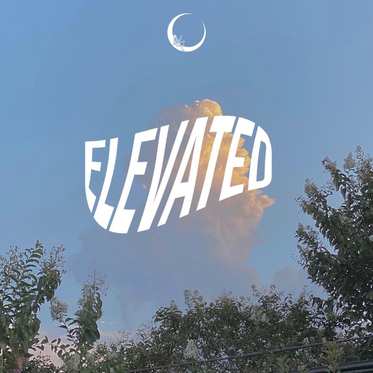 Elevated (feat. Nicole Martinez) - Single by Lèo Ovalle album cover