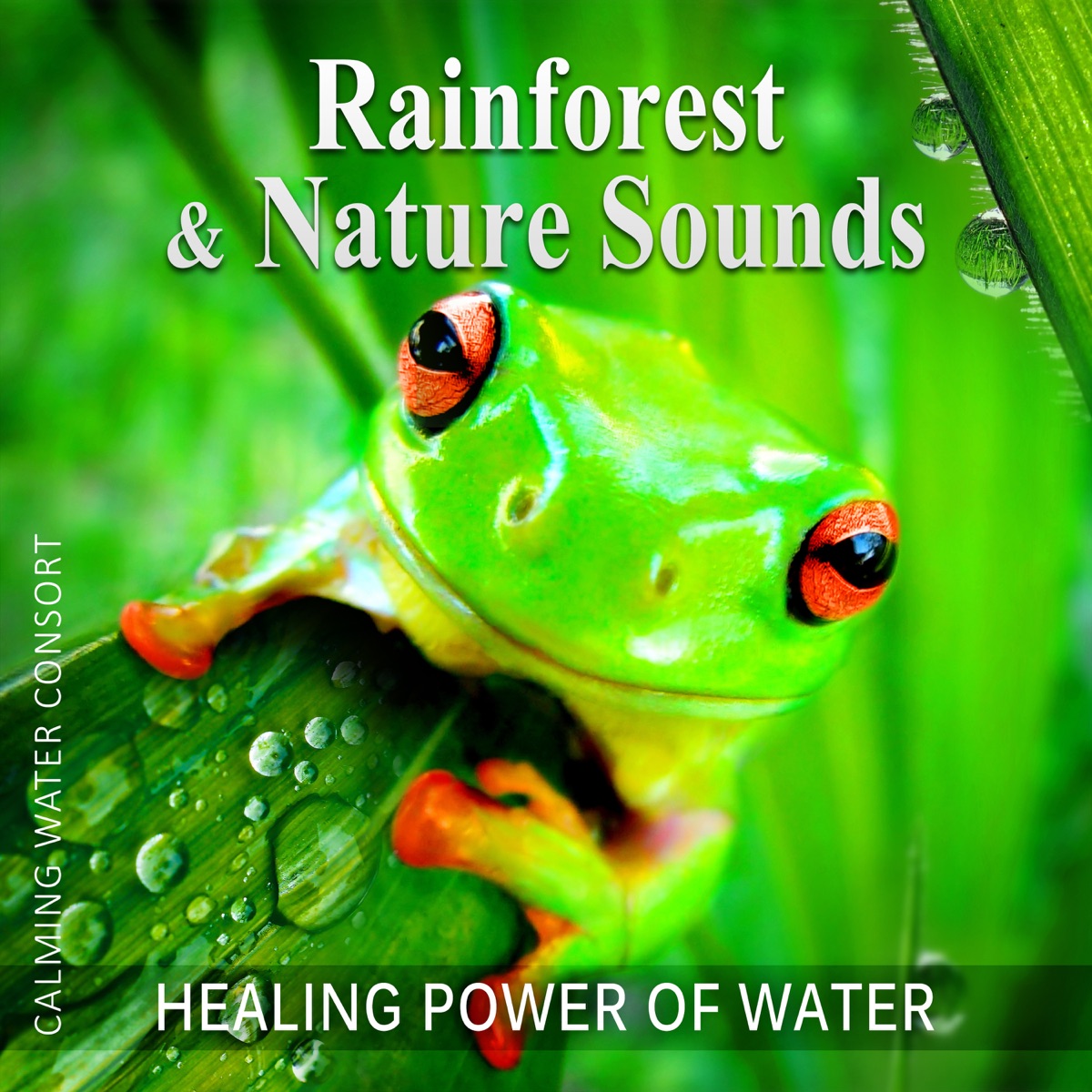 Rainforest & Nature Sounds: 50 Healing Power of Water (Rain, River, Ocean and Sea) Music for Sleep and Relaxation, Free Your Mind & Relax Better, Deep Waves Meditation by Calming Water Consort album cover