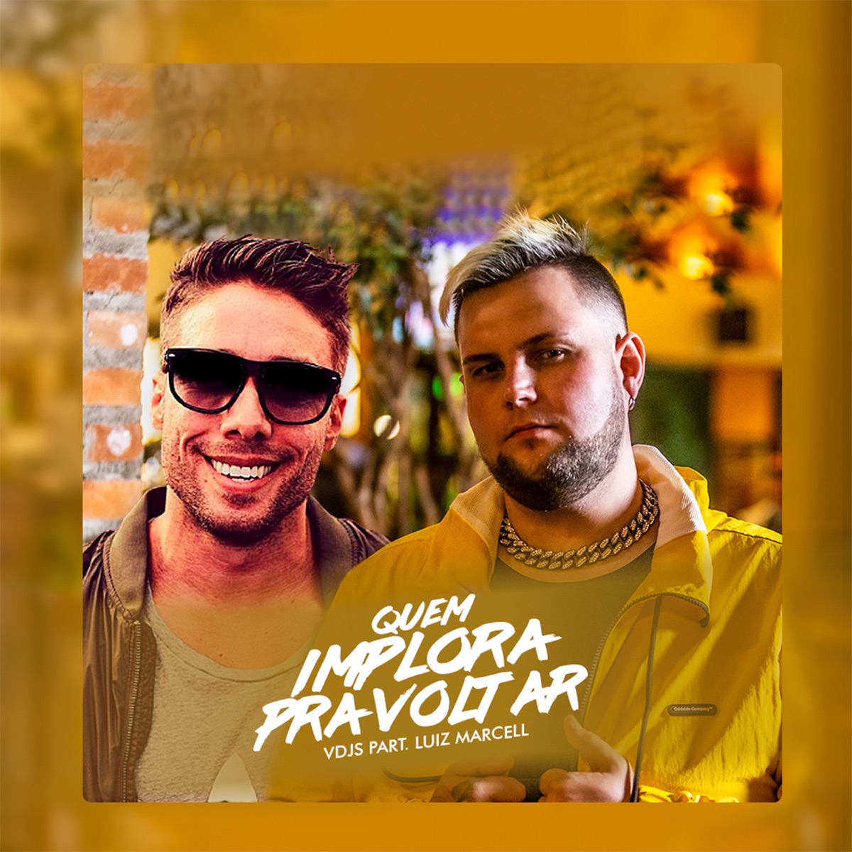Quem Implora pra Voltar - Single by vdjs & Luiz Marcell album cover