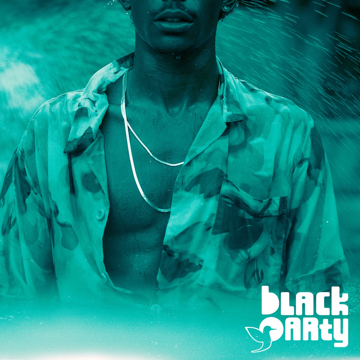 Birds & Bees - Single by bLAck pARty album cover