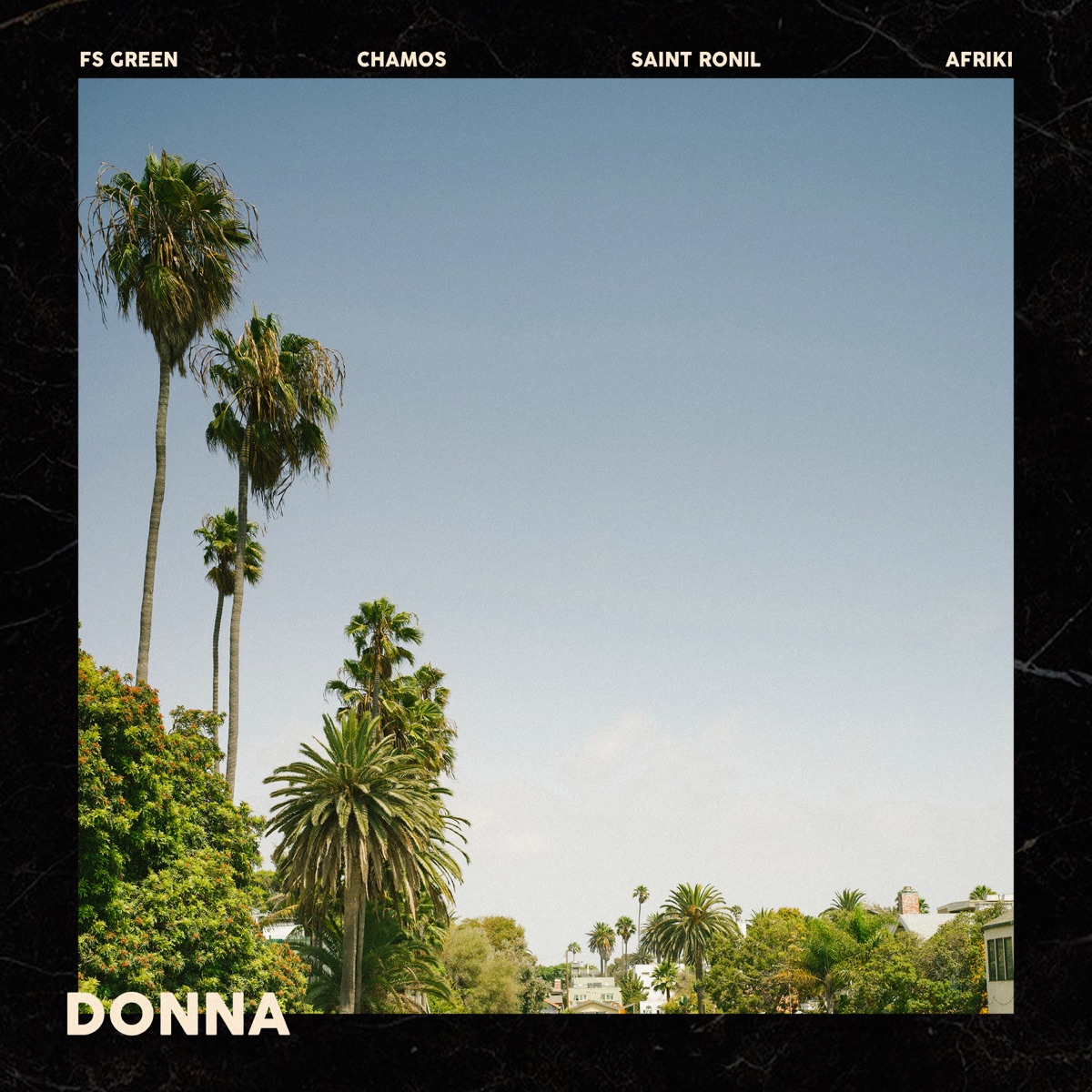 Donna - Single (feat. Saint Ronil & Afriki) - Single by FS Green & CHAMOS album cover