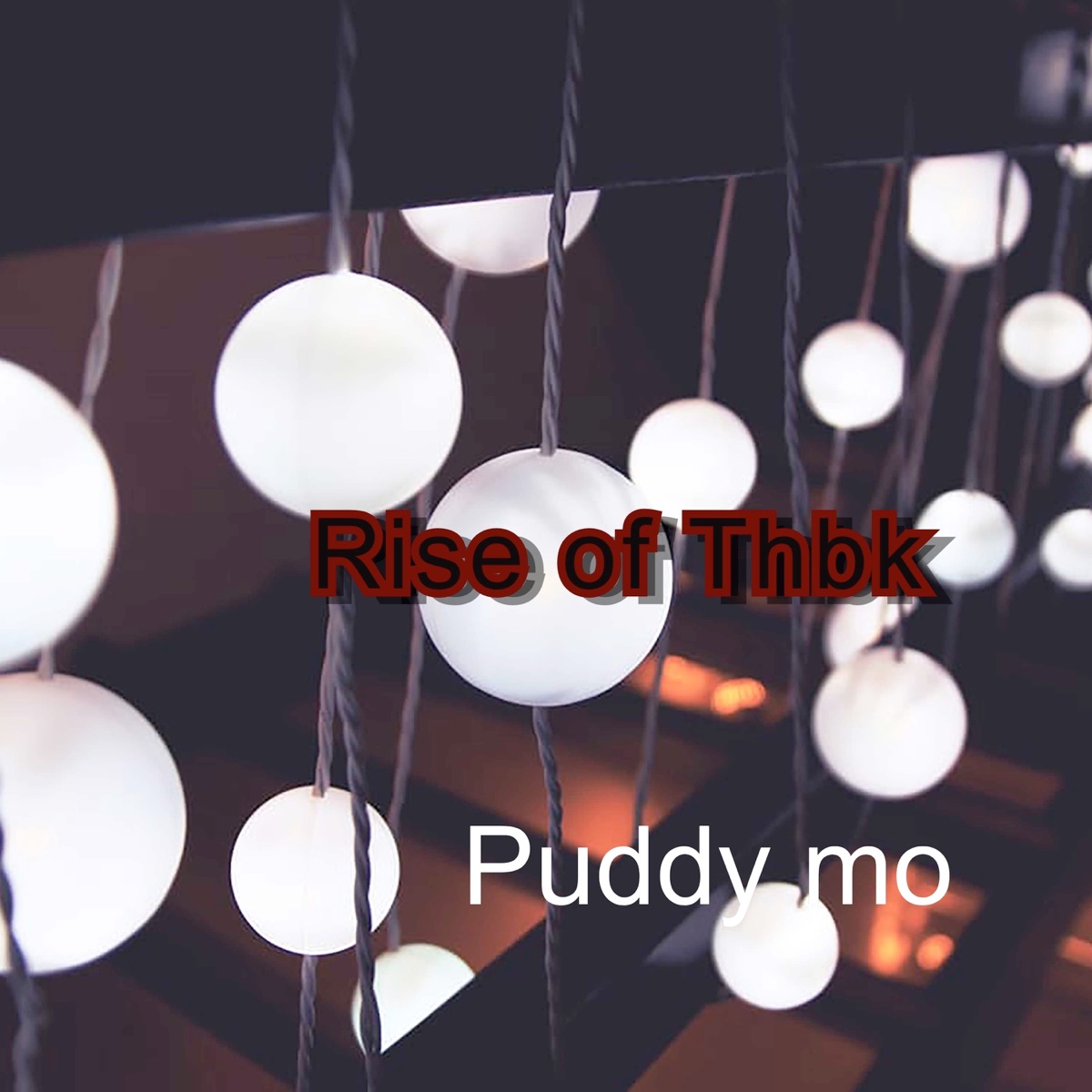 Rise of Thbk - Single by Puddy mo album cover