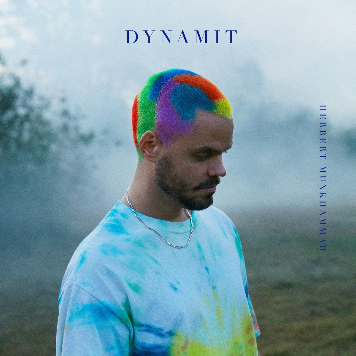 Dynamit - Single by Herbert Munkhammar album cover