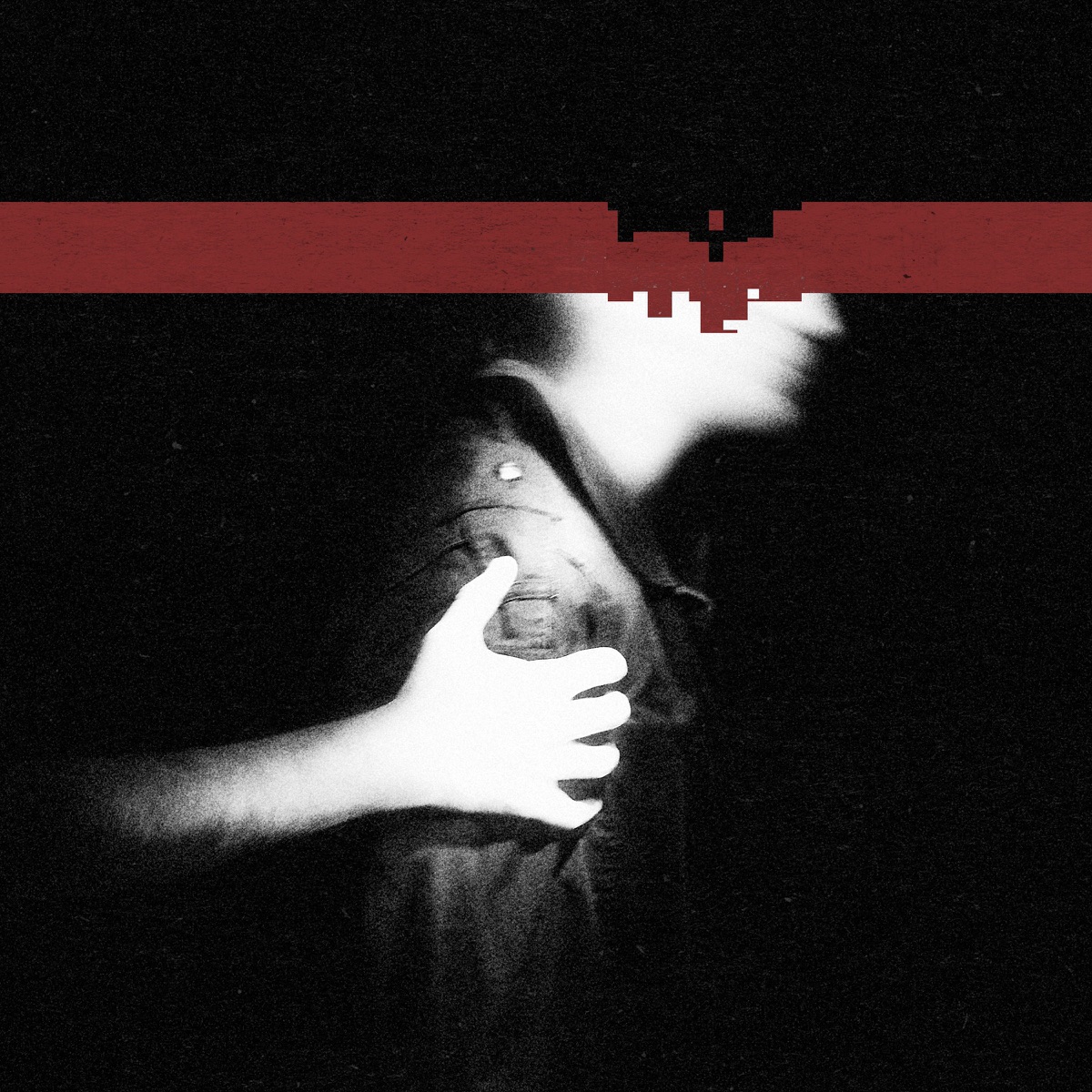 The Slip by Nine Inch Nails album cover