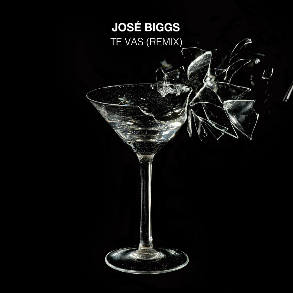 Te Vas (Remix) - Single by José Biggs album cover