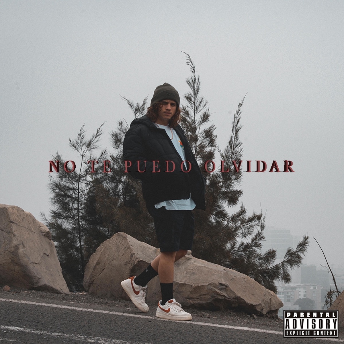 No te puedo olvidar - Single by Diego Palace album cover
