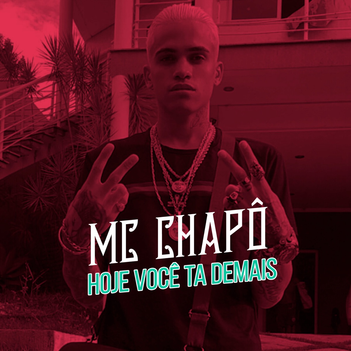Hoje Você Ta Demais - Single by Mc Chapô album cover