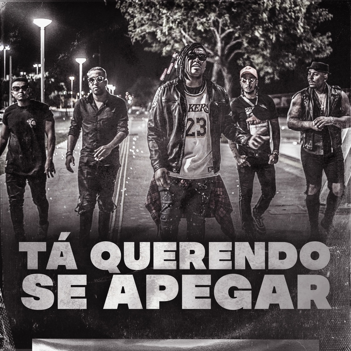 Tá Querendo Se Apegar - Single by Novo Extima & Nego Di album cover