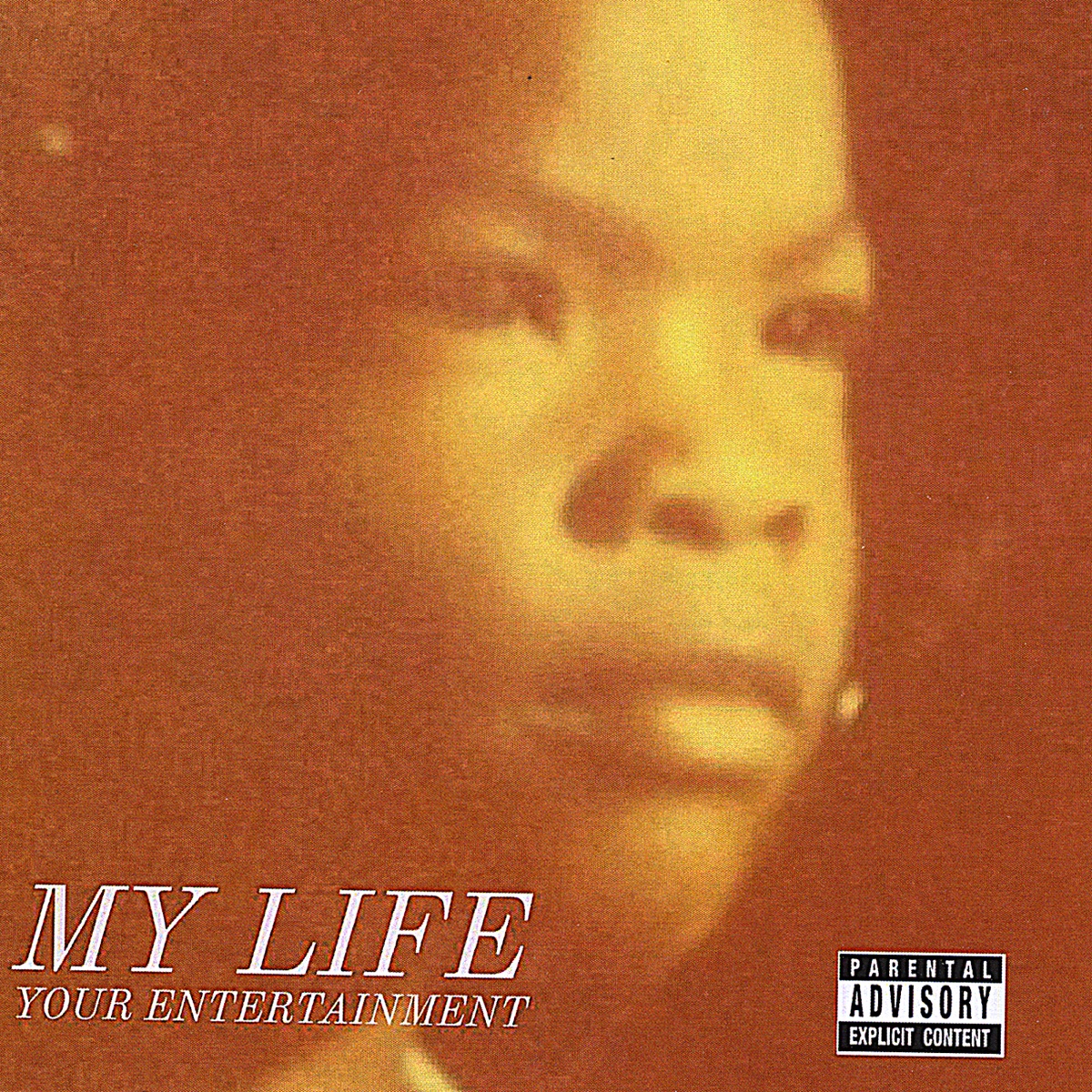 My Life Your Entertainment by Low Life from Two Sins album cover