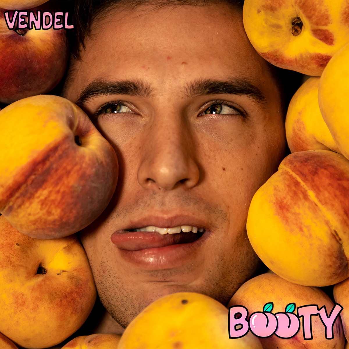Booty - Single by Vendel album cover