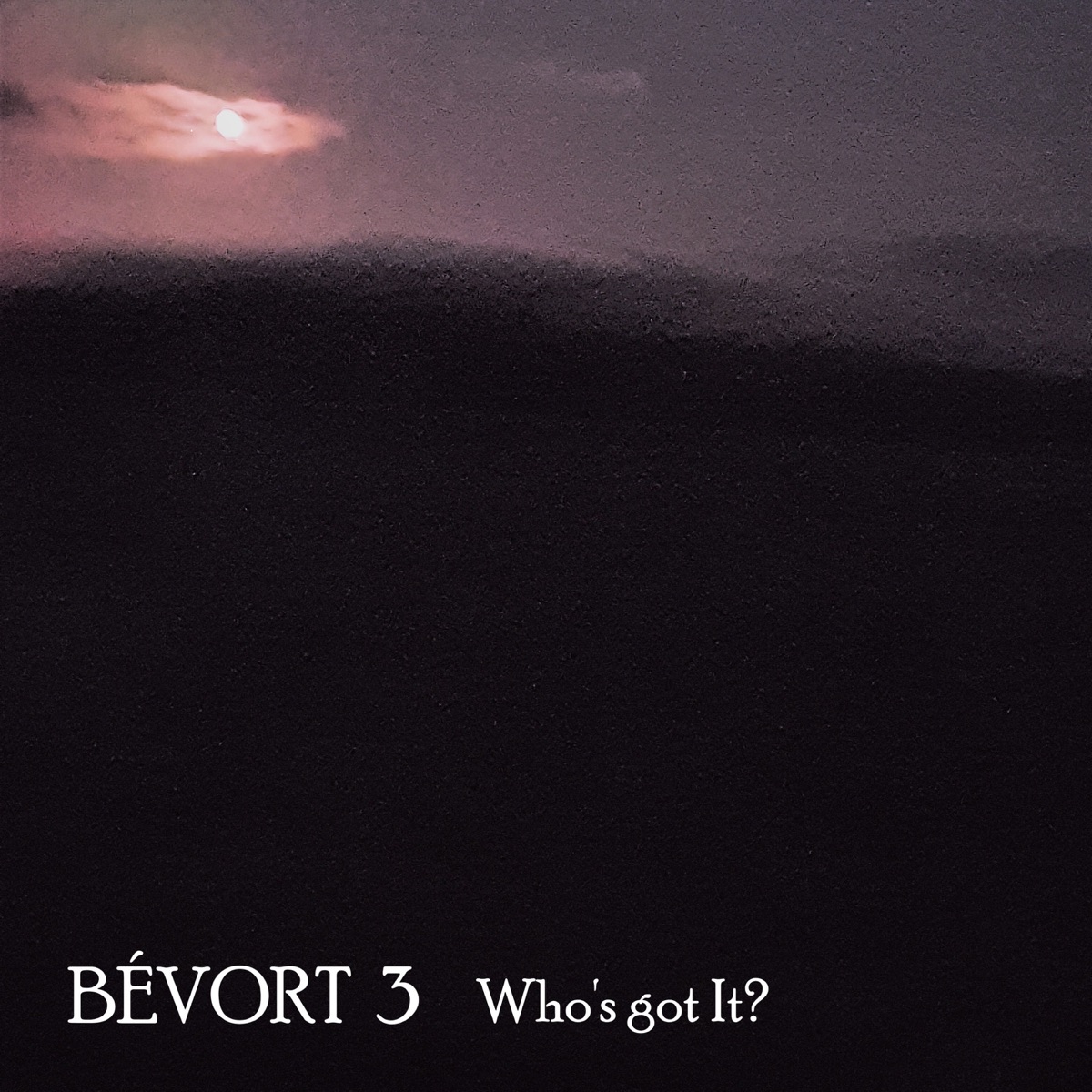 Who’s Got It (Live at Montmartre 2020) [feat. Morten Ankarfeldt & Espen Laub von Lillienskjold] - Single by Bévort 3 album cover