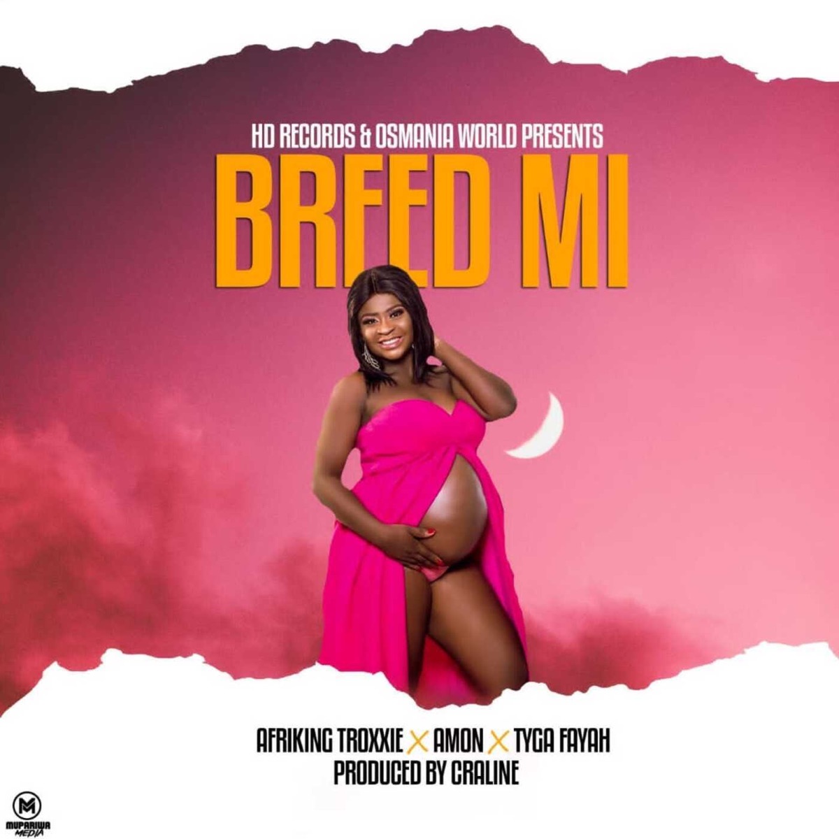 Breed Mi (feat. Amon & Tygah Fyah) - Single by Afriking Troxxie album cover