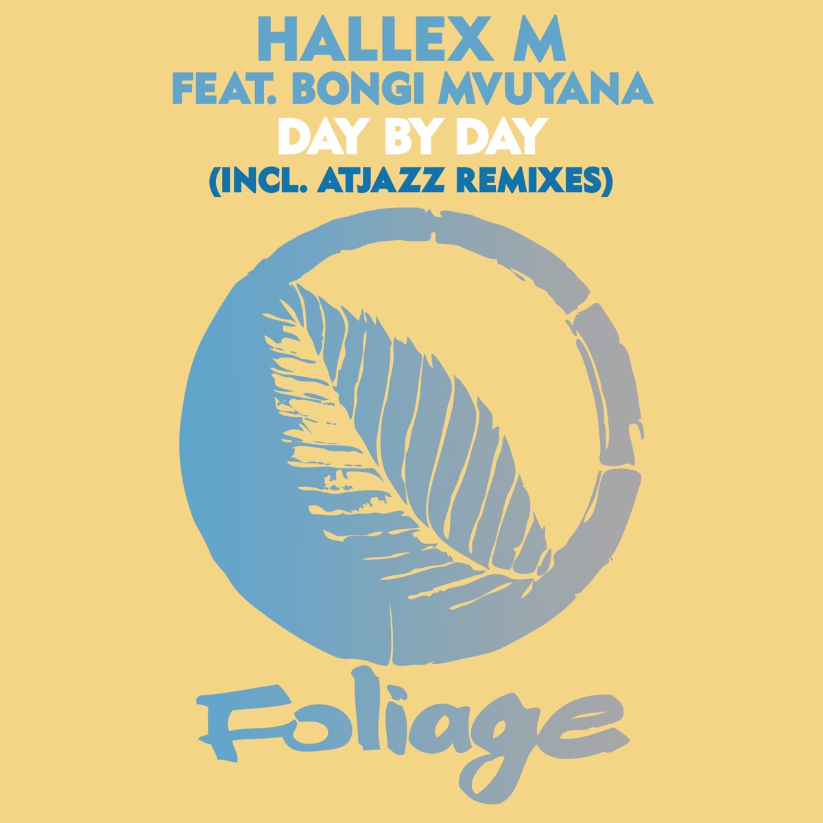 Day by Day by Hallex M, Bongi Mvuyana & Atjazz album cover