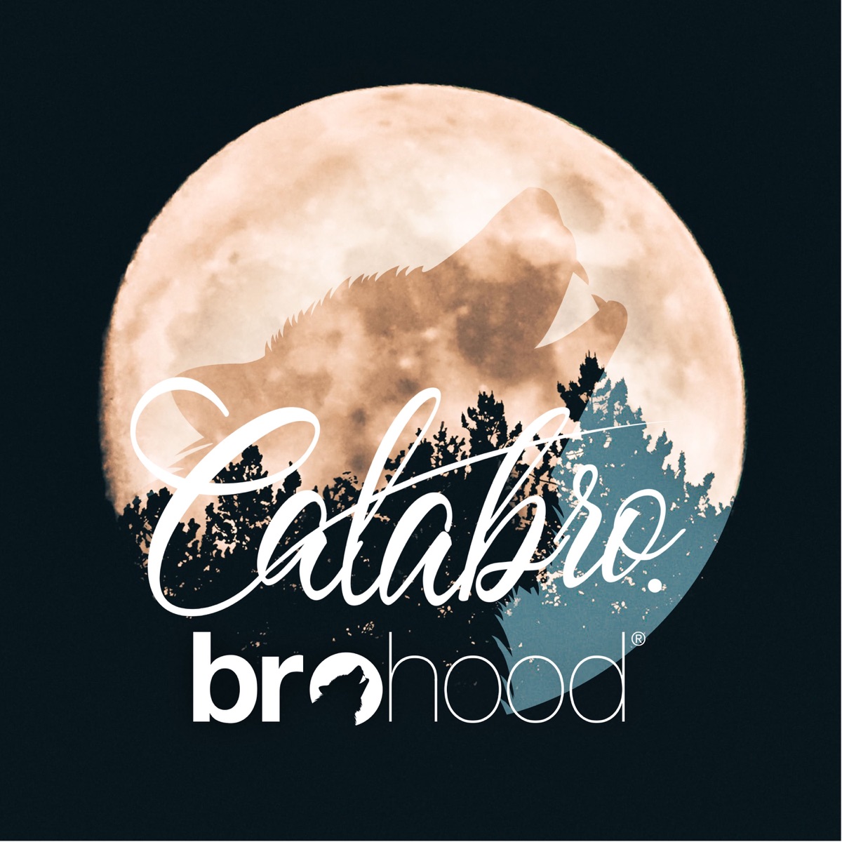 Brohood - Single by Calabro album cover